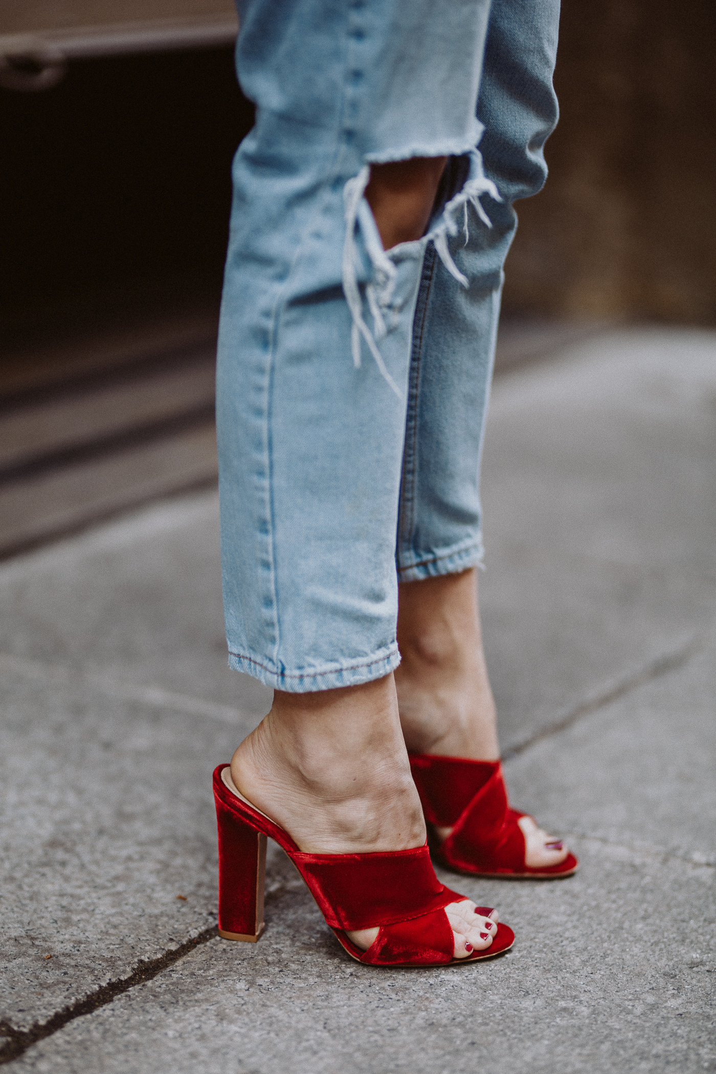 red velvet Gianvito Rossi mules | Bikinis & Passports