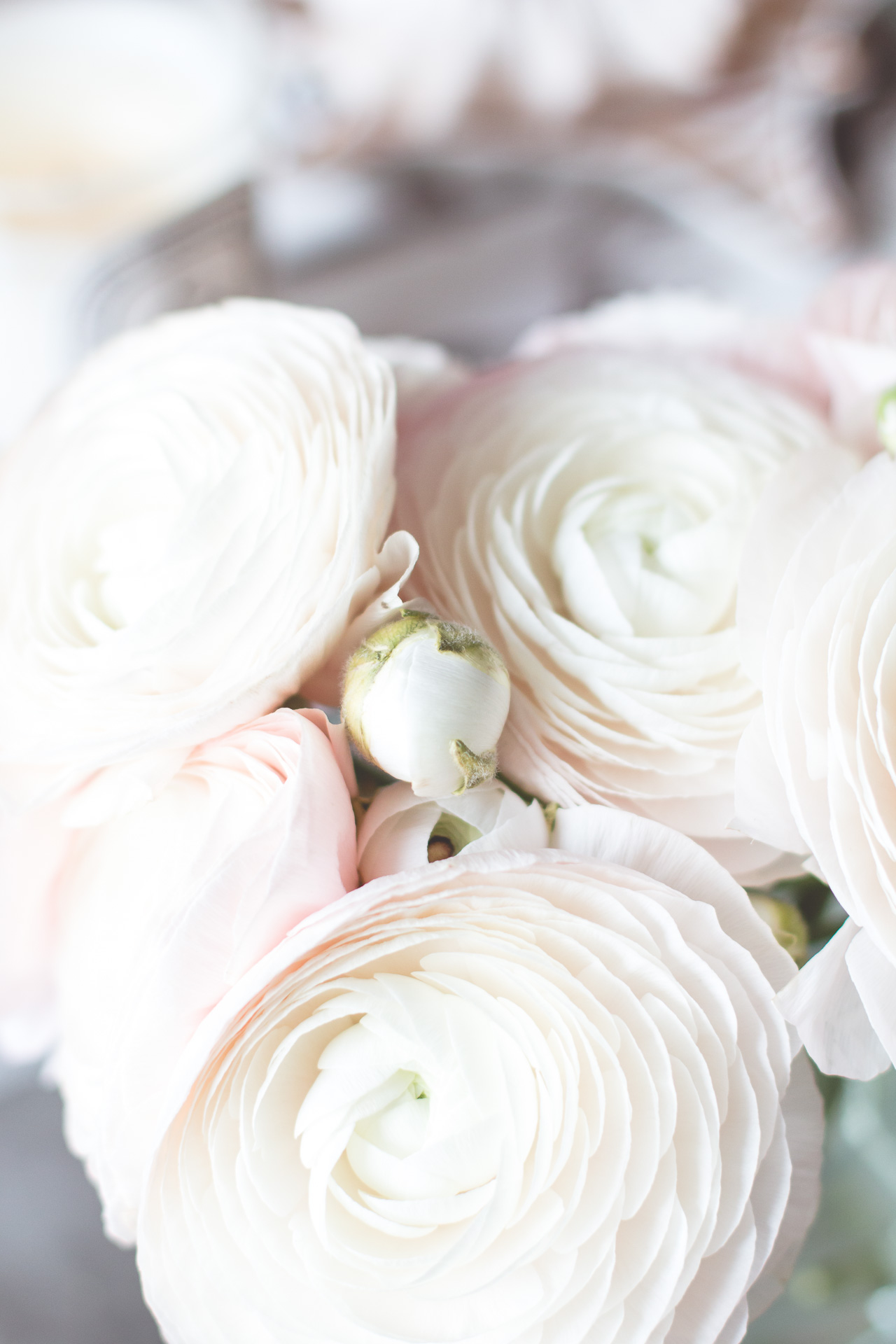 5 tips to keep your cut flowers fresh