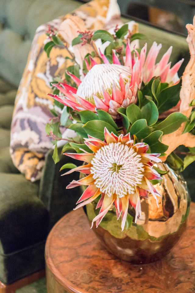 The Joule Hotel Dallas - Review | Bikinis & Passports