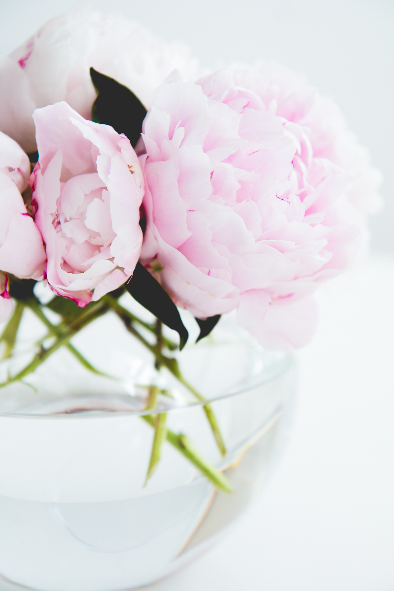 BEAUTY TALK: let’s be sensitive