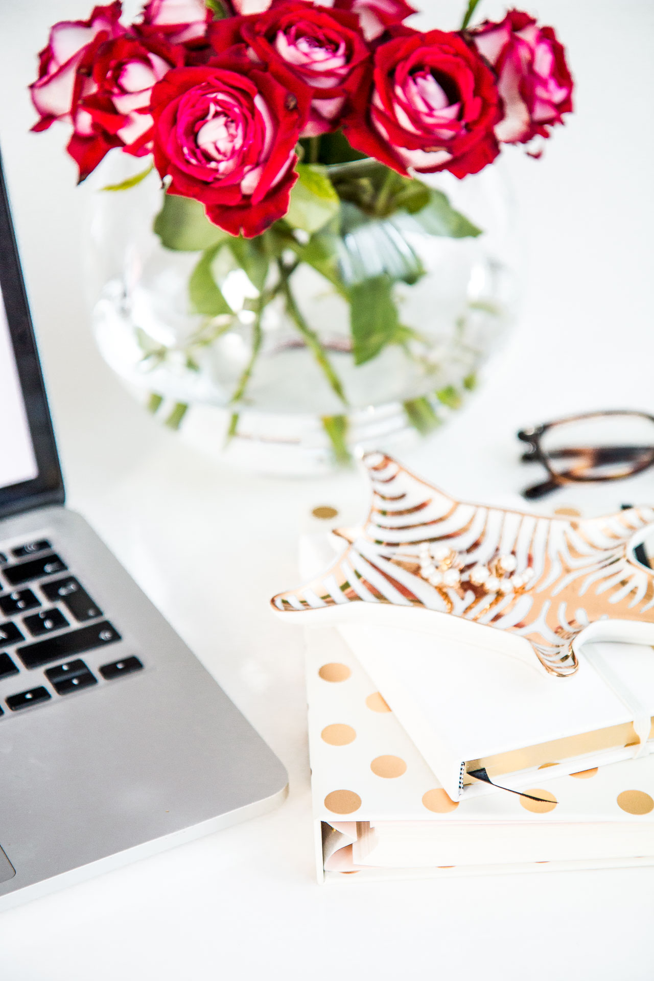Back To School Desk Accessories Bikinis Passports