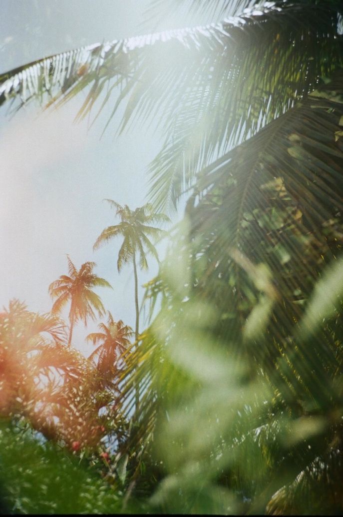 Travel to Maui | Bikinis & Passports