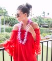 Aloha Maui: Getting Leid in Maui | Bikinis & Passports