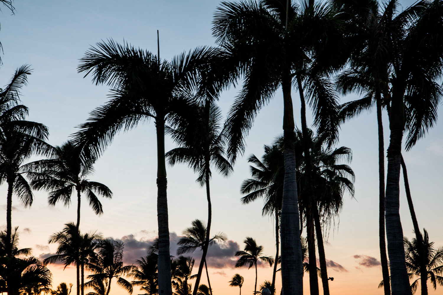 Hotel Review: Four Seasons Resort at Wailea Maui | Bikinis & Passports