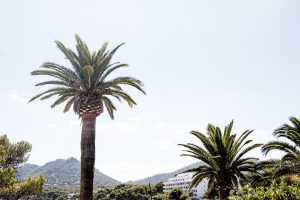 Travel: Mallorca Cap Vermell Travel Diary | Bikinis & Passports