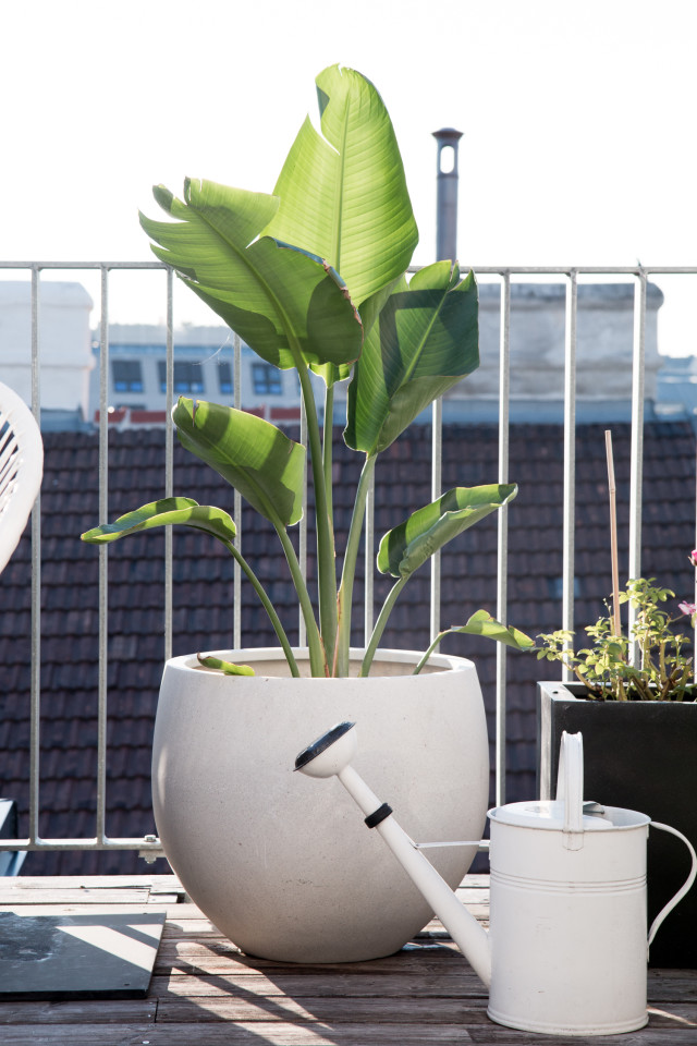 Rooftop Living Room: Our Perfect Outdoor Space For Summer | Bikinis & Passports