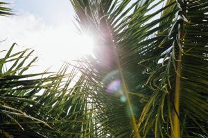 Four Seasons Mauritius at Anahita Hotel Review - Bikinis & Passports