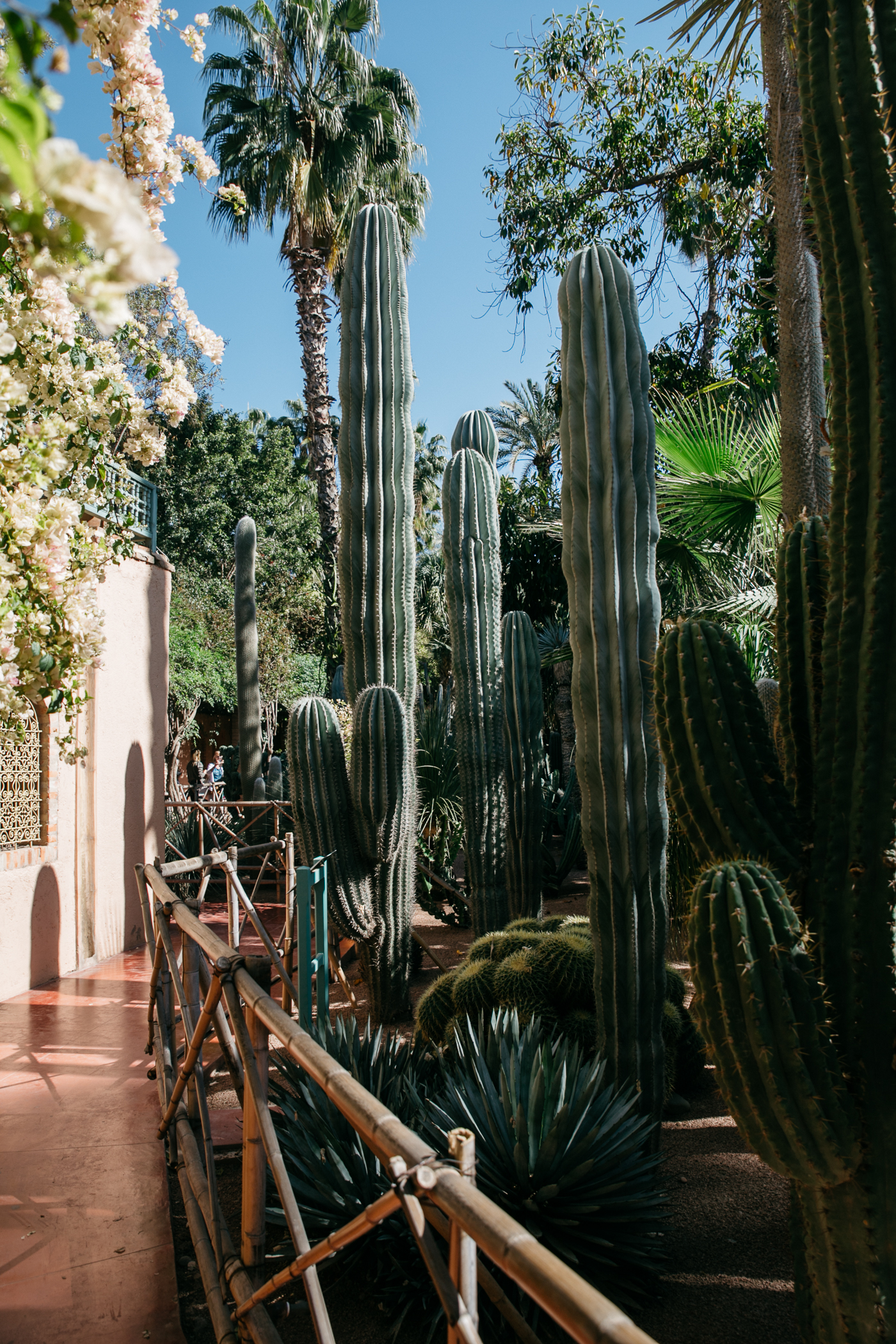 Le Jardin Majorelle Marrakech, Yves Saint Laurent Garden | Bikinis & Passports