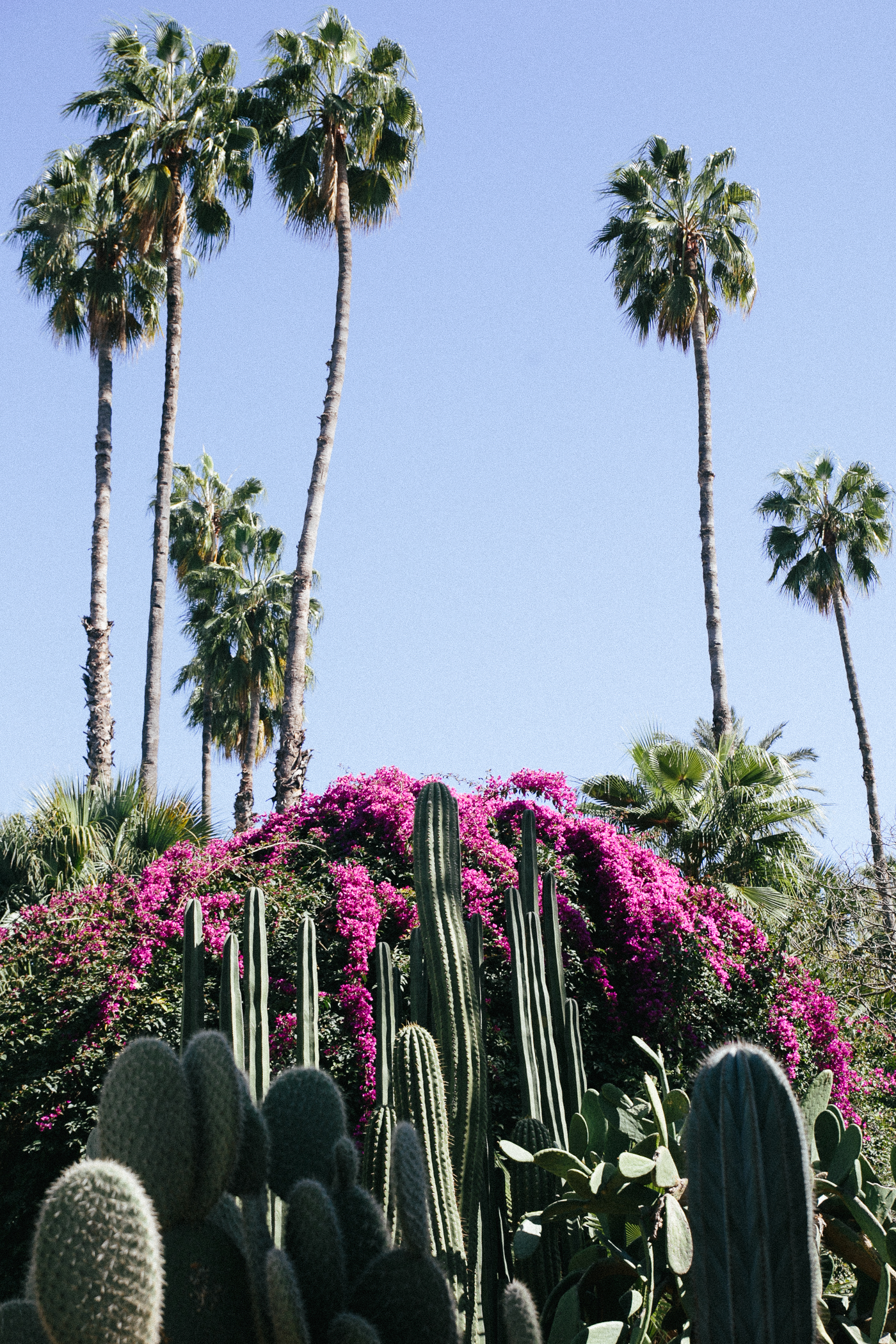 Le Jardin Majorelle Marrakech, Yves Saint Laurent Garden | Bikinis & Passports