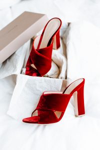 Gianvito Rossi Velvet Mules | Bikinis & Passports