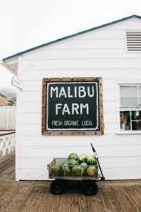 Malibu Farm, Breakfast at the Malibu Pier | Bikinis & Passports