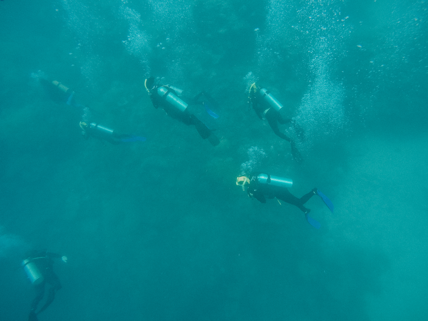 Poseidon Cruises: Snorkel The Great Barrier Reef, Australia | Bikinis & Passports
