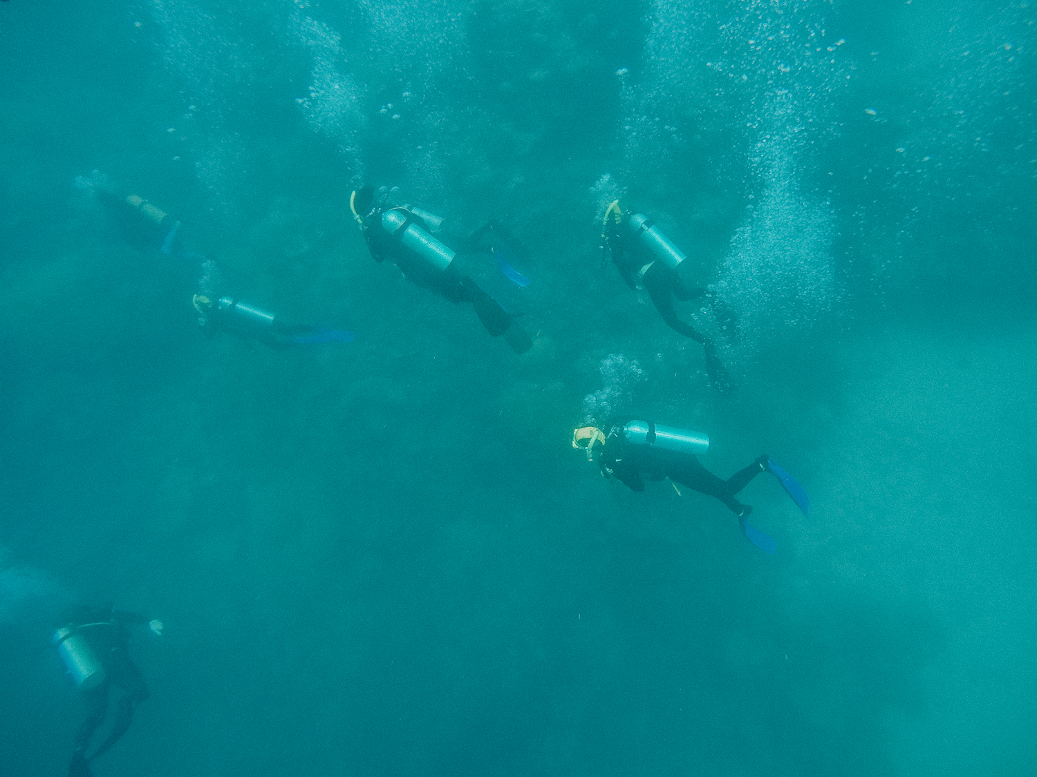 Poseidon Cruises: Snorkel The Great Barrier Reef, Australia | Bikinis & Passports