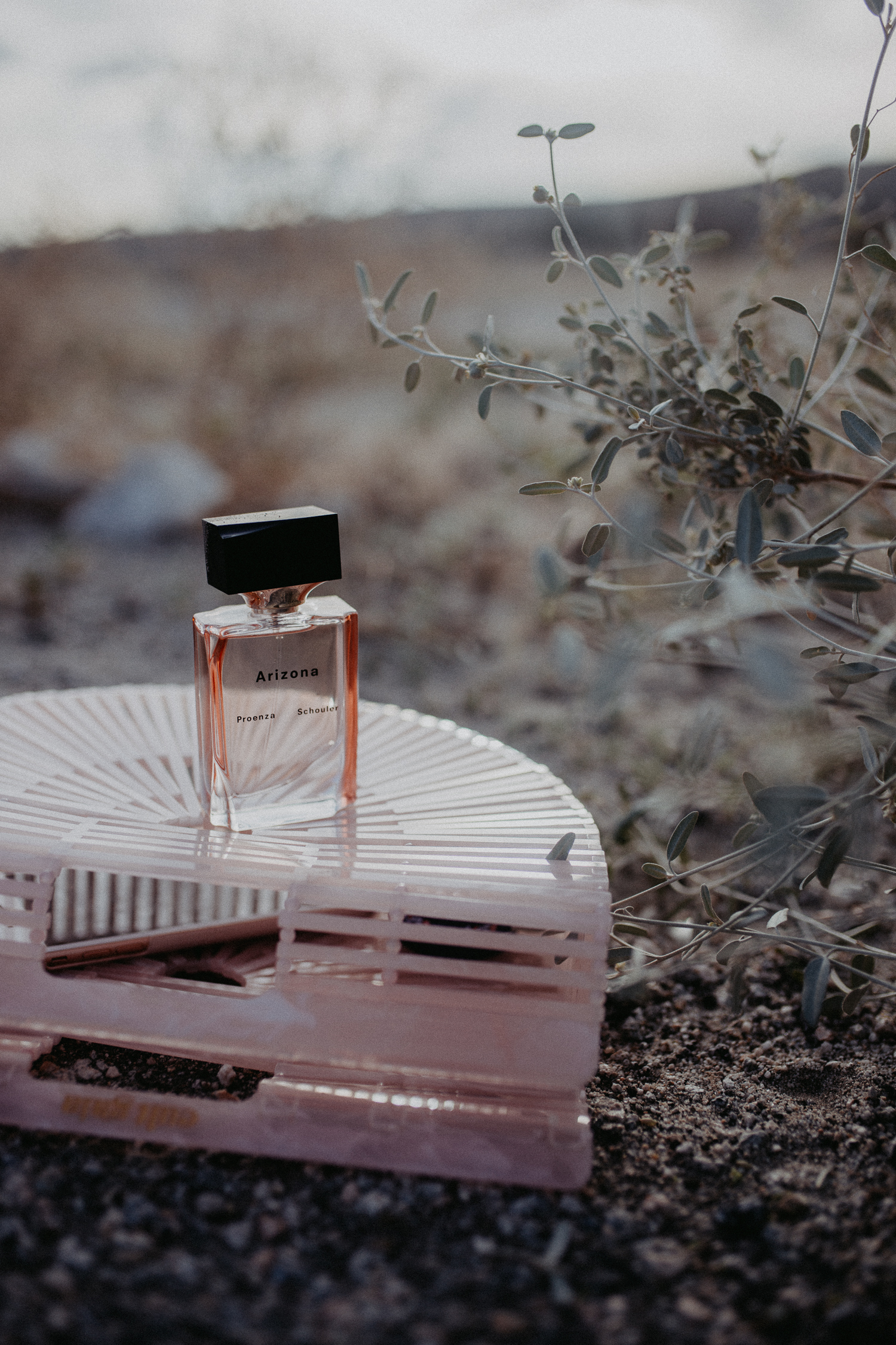 Proenza Schouler Arizona Perfume | Bikinis & Passports