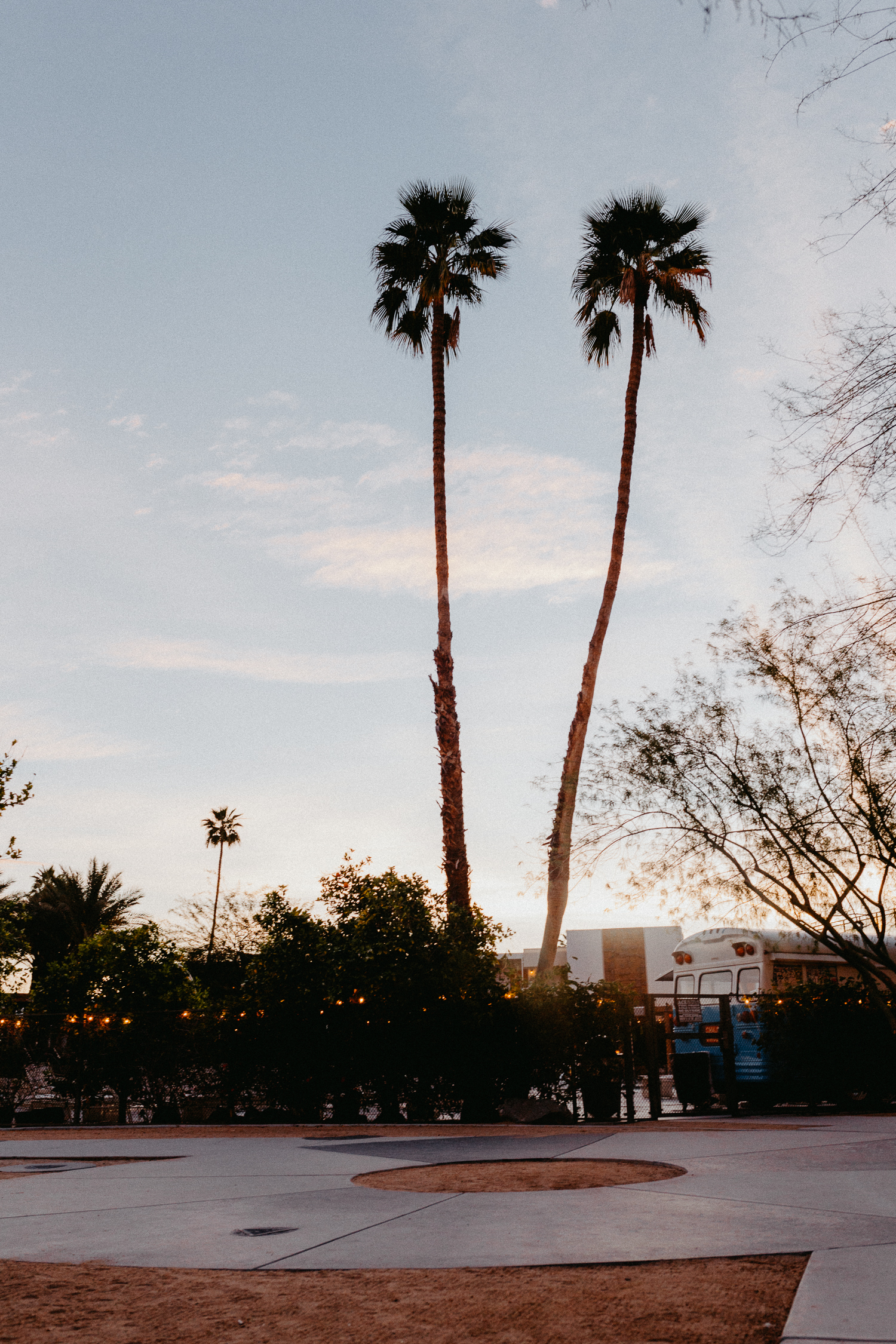 The Ace Hotel Swim Club Palm Springs | Bikinis & Passports