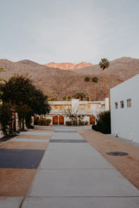 The Ace Hotel Swim Club Palm Springs | Bikinis & Passports