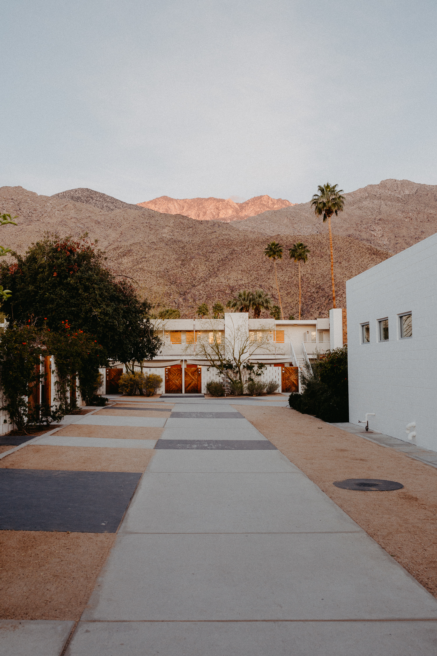 The Ace Hotel Swim Club Palm Springs | Bikinis & Passports