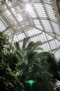 Palmenhaus Schönbrunn Vienna | Bikinis & Passports