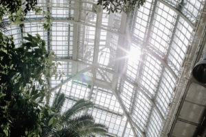 Palmenhaus Schönbrunn Vienna | Bikinis & Passports