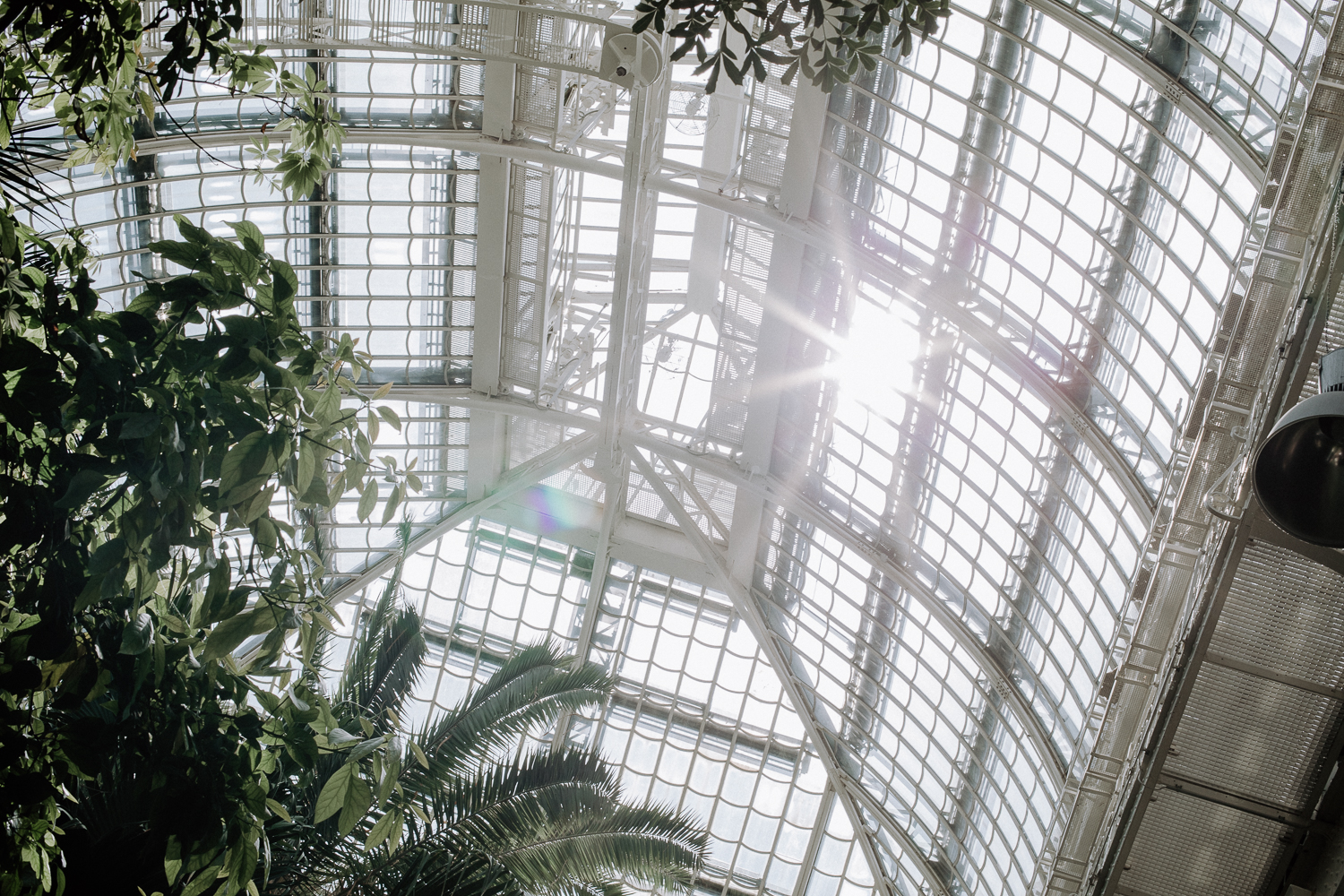 Palmenhaus Schönbrunn Vienna | Bikinis & Passports