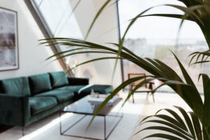 Vicky Heiler Apartment, Living Room: Green Velvet Sofa - Bikinis & Passports